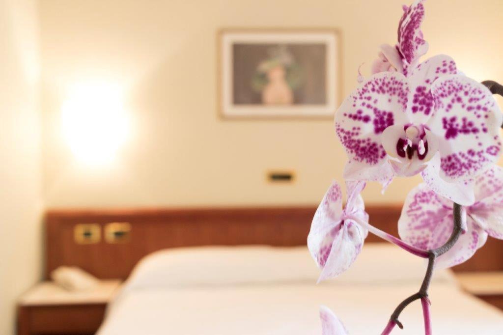Palace Hotel Civitanova Marche Extérieur photo